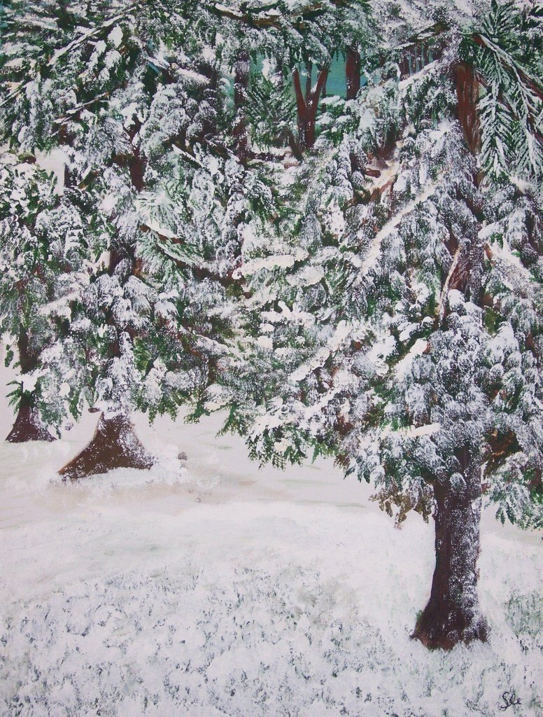 Snowy Pines